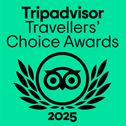 trip advisor 2025